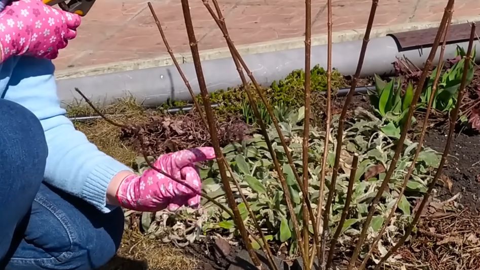 ��� ������ ����������� ��������� ������, ����� ��� ��������� ������� ������