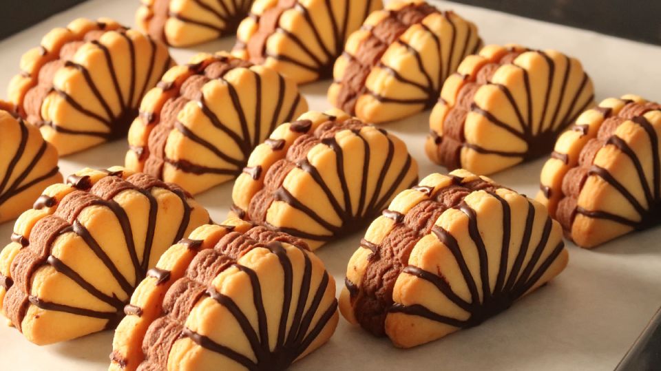 �������� ������� �� ������ ����: ������� � �������� ���� ������� �����