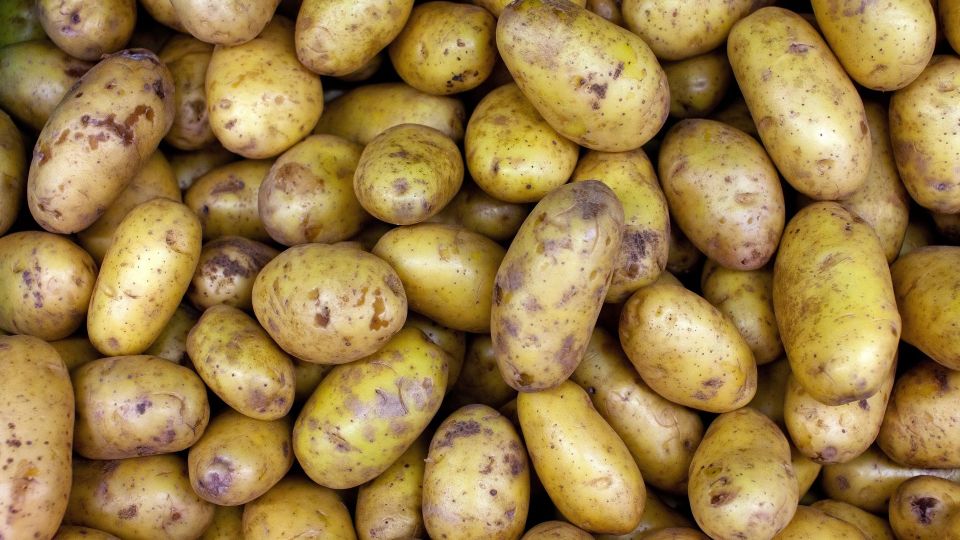 � ����� ��� ��������� ������� � ��� �������: ��������� ������� �������� �� ���-�� ������