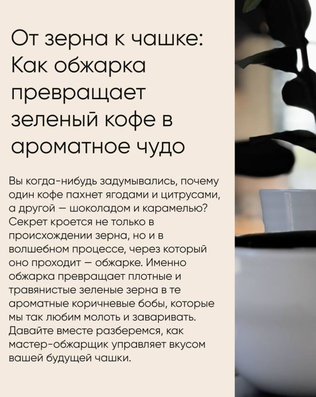 ������������ ���������� ������� ����