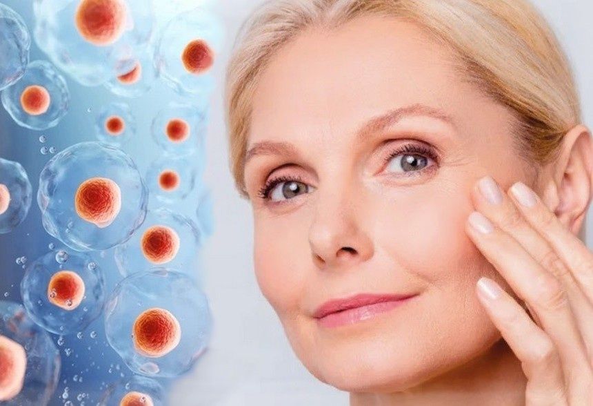 ������������ ������ ������� ��������� ������� �����������