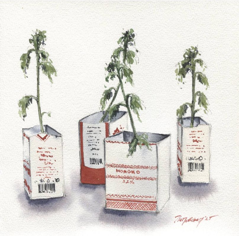 ������ � ������������: ���� ��� ������� �������, ���������� �� �������