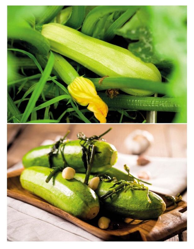 ���������� ����������: 12 ������������ ������� �������� ��� ����