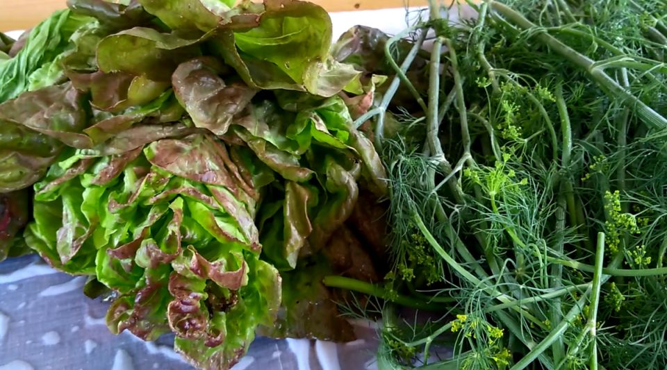 ��������, � ������� ������� �����: ������������ ����� �� ����