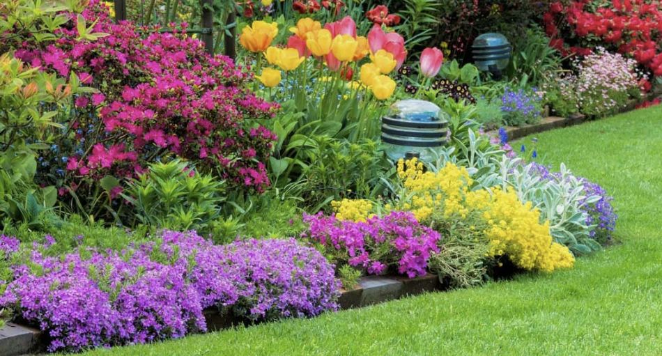 Плавный цветник непрерывного цветения на даче: простая схема на каждый сезон