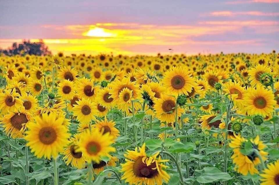 ���������� � 2025: ��� ������������ ������ �����