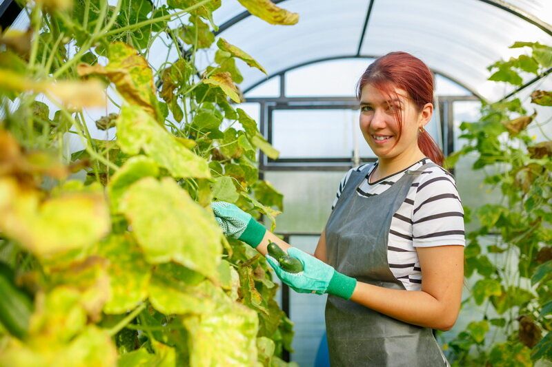 ������ ������� ������ ������� � ��� ������ ��� ��������