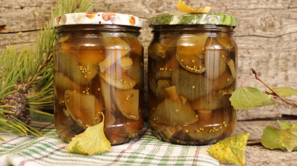 ��� ����������� ������� ������� ��� ������ �� ����