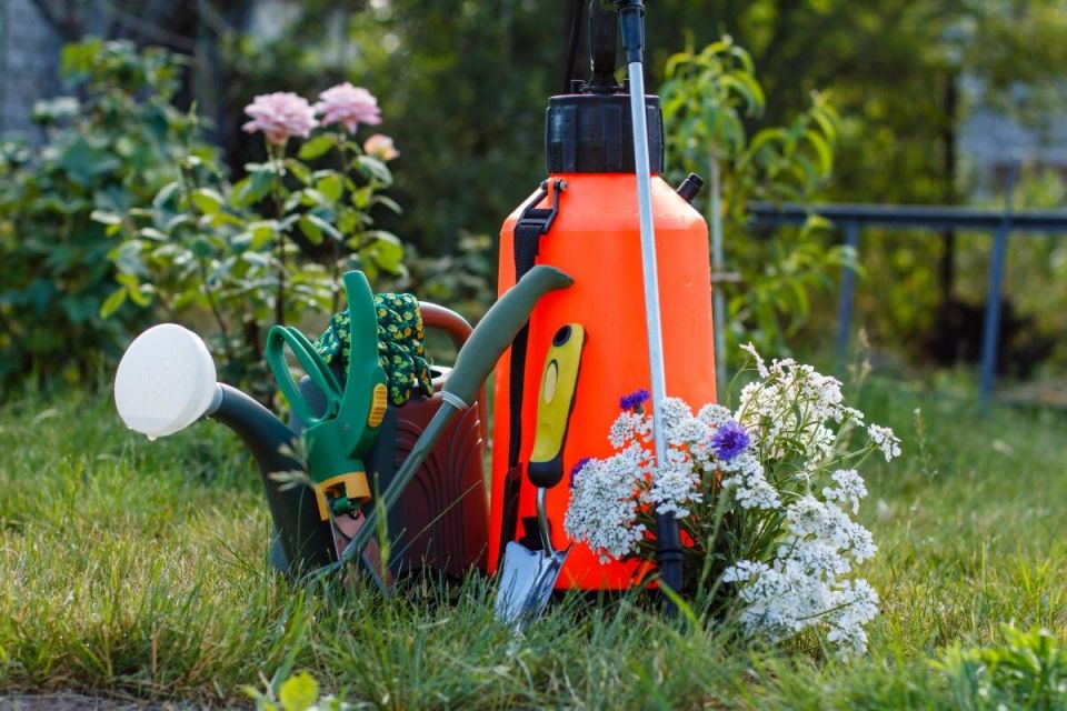 ��� ������� ��������� ������� ������������� � ������������ �� ���������