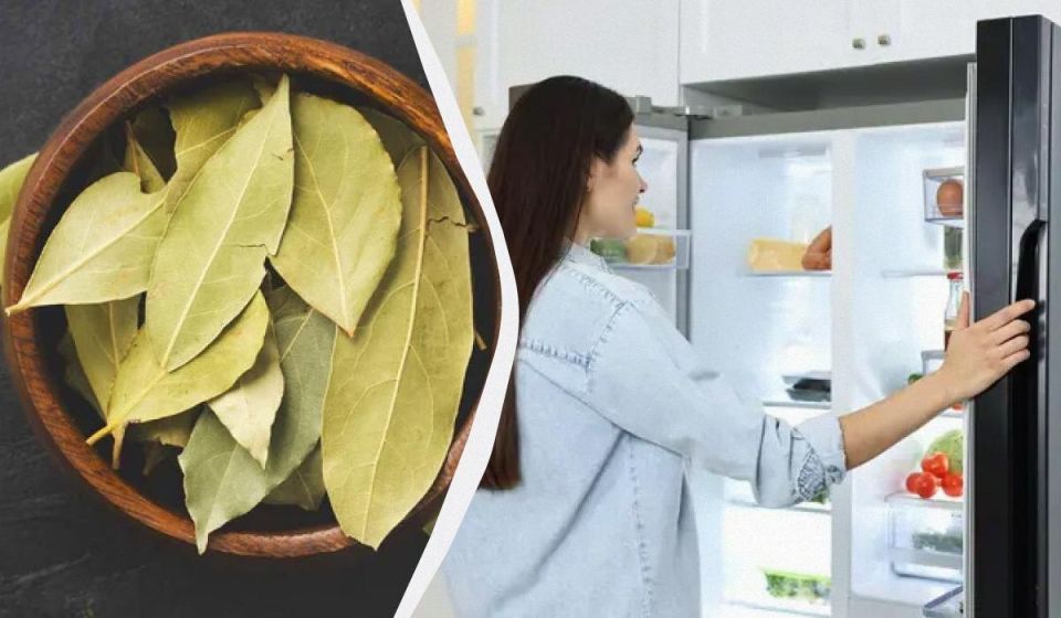 �������� ����: ������� ������ ���������� �� ������� � ��������� �� �����