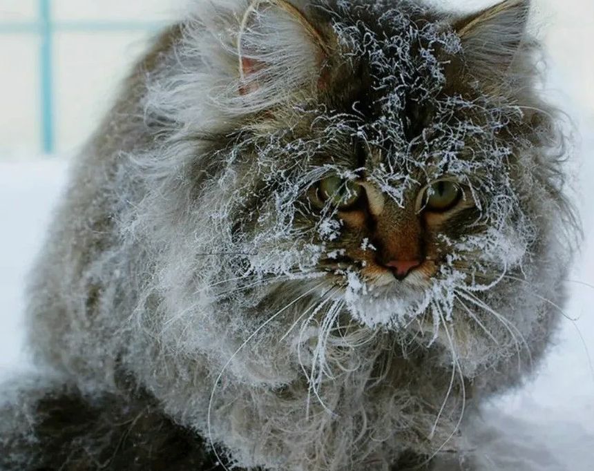 ��� ������, ����� ������ �������: ������ ����� ��� ���������� ����������