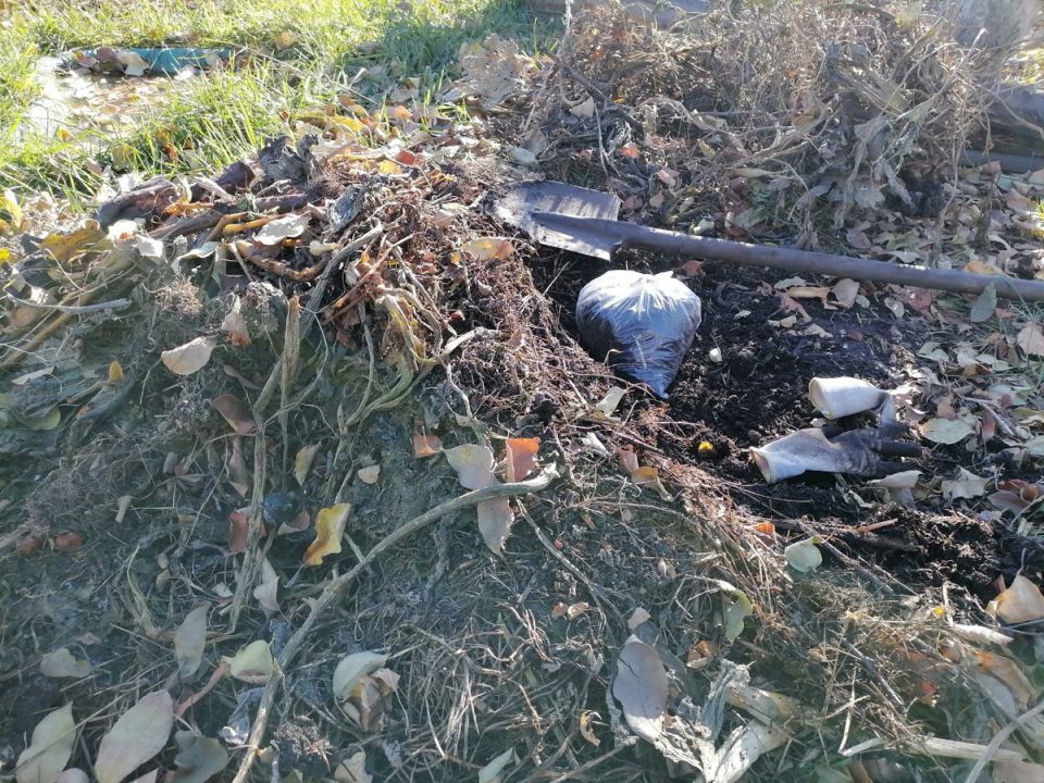 Создание собственного грунта для рассады: полезные советы и рекомендации