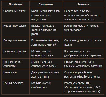 Почему хосты растут плохо: основные ошибки и пути их решения
