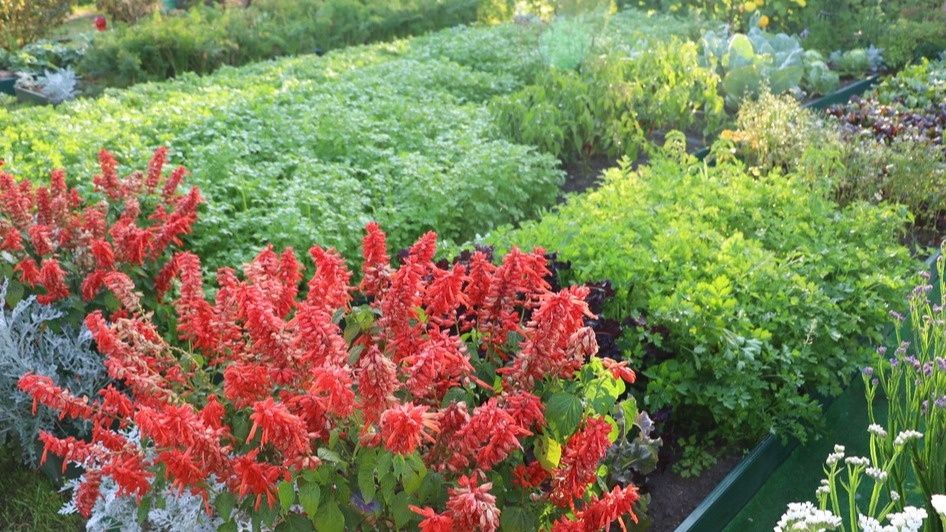 ������ ���������: ��� 2 �������� ����� ����� �������� ��� ������