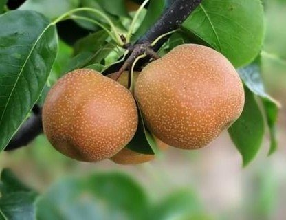 ����� ����� �� ���������: ��������� ������ � �����