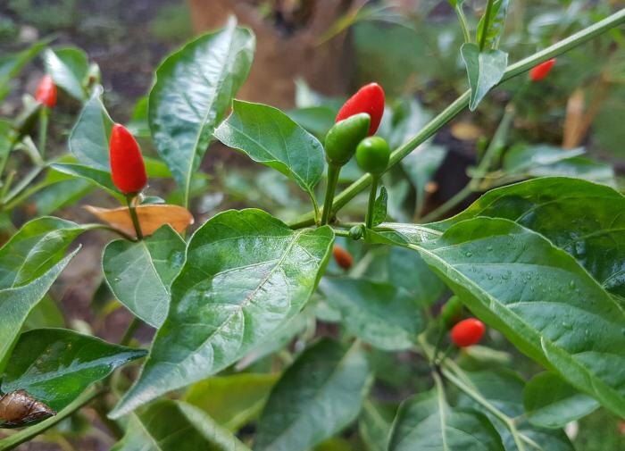 ��� ��������� ������ ����� ���� � ������� ��������� ������