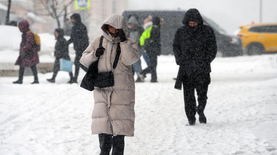 ��� ����� ����� �� ������ ������ �����: ������ ��������